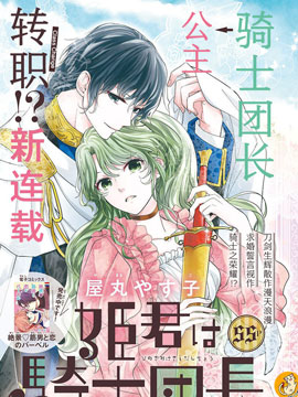 公主是骑士团长